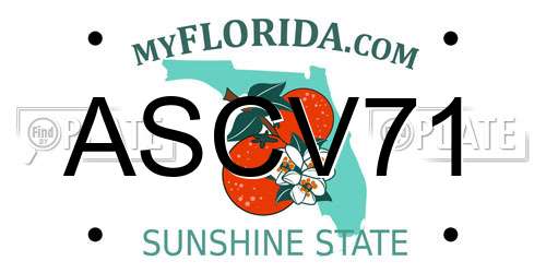 ASCV71 Florida License Plate