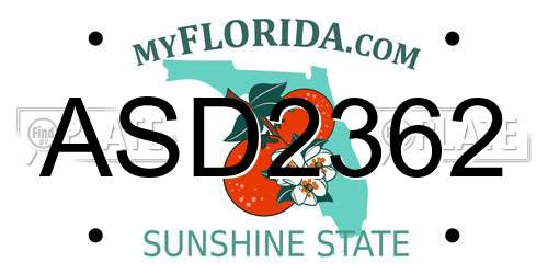 ASD2362 Florida License Plate