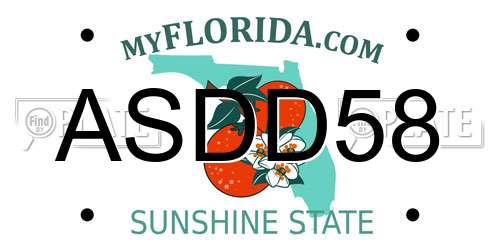 ASDD58 Florida License Plate