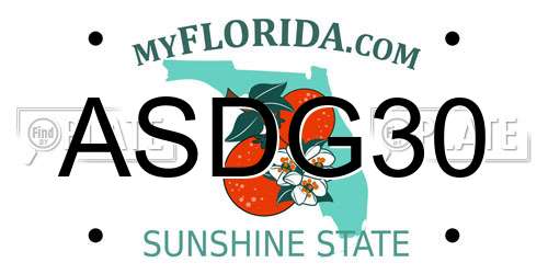 ASDG30 Florida License Plate