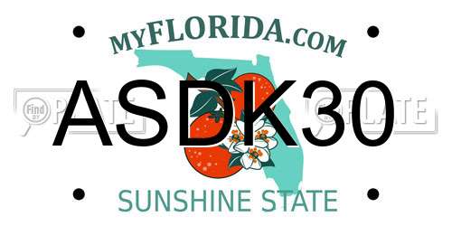 ASDK30 Florida License Plate