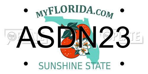 ASDN23 Florida License Plate