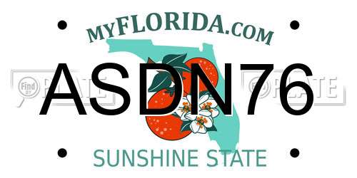 ASDN76 Florida License Plate