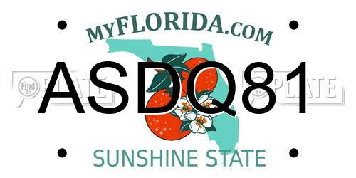 ASDQ81 Florida License Plate