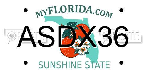 ASDX36 Florida License Plate