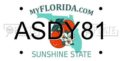 ASDY81 Florida License Plate