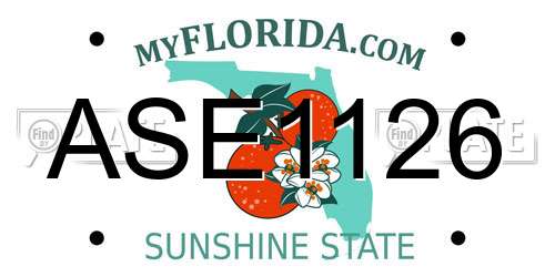 ASE1126 Florida License Plate