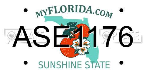 ASE1176 Florida License Plate