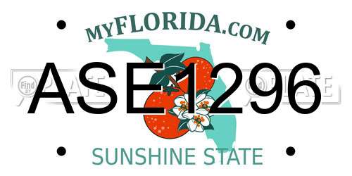 ASE1296 Florida License Plate