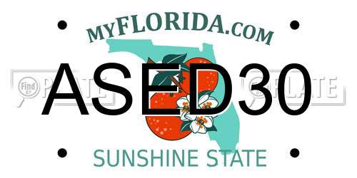 ASED30 Florida License Plate