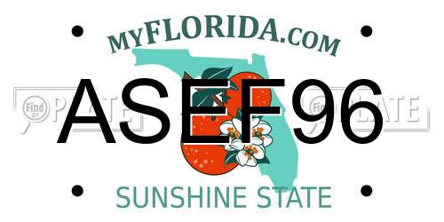 ASEF96 Florida License Plate