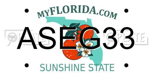 ASEG33 Florida License Plate