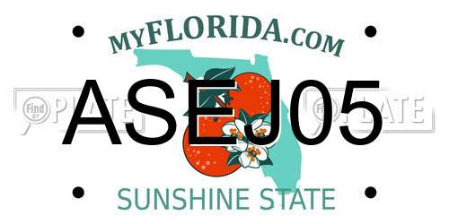 ASEJ05 Florida License Plate