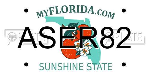 ASER82 Florida License Plate