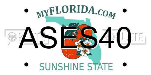 ASES40 Florida License Plate