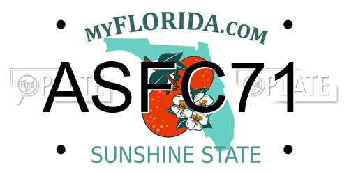 ASFC71 Florida License Plate