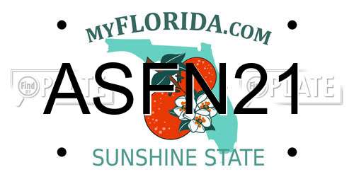 ASFN21 Florida License Plate