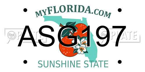 ASG197 Florida License Plate