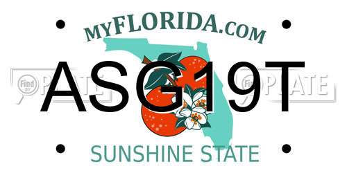 ASG19T Florida License Plate