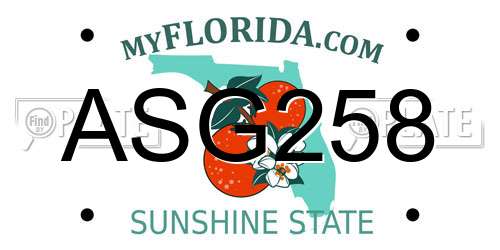 ASG258 Florida License Plate