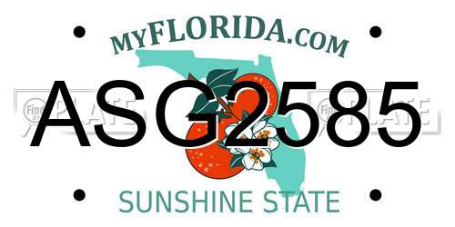 ASG2585 Florida License Plate