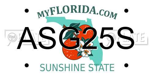 ASG25S Florida License Plate