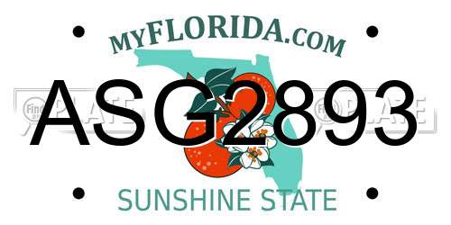 ASG2893 Florida License Plate