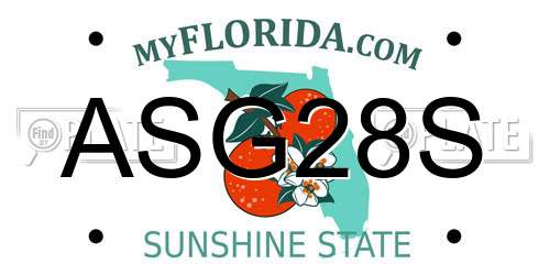 ASG28S Florida License Plate