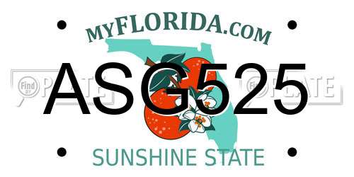 ASG525 Florida License Plate