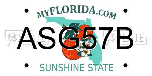 ASG57B Florida License Plate