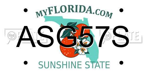 ASG57S Florida License Plate