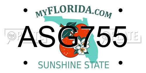 ASG755 Florida License Plate
