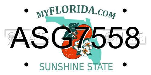 ASG7558 Florida License Plate