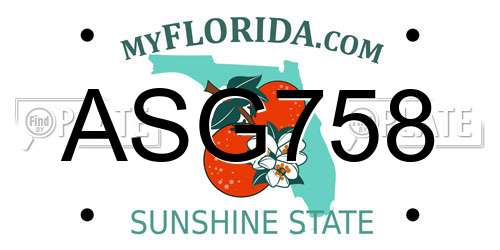 ASG758 Florida License Plate