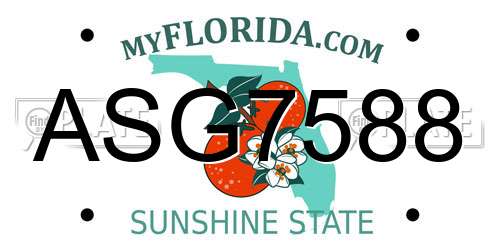 ASG7588 Florida License Plate