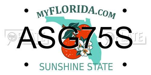 ASG75S Florida License Plate