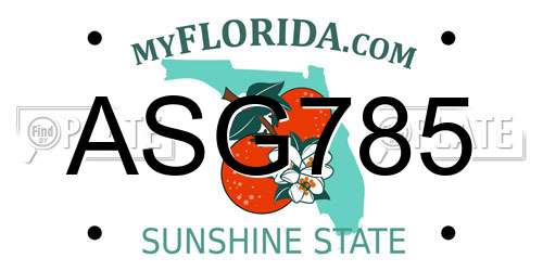ASG785 Florida License Plate