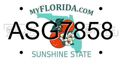 ASG7858 Florida License Plate