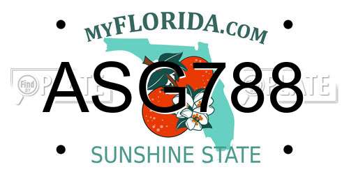ASG788 Florida License Plate
