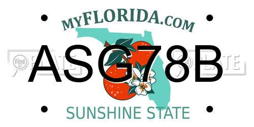 ASG78B Florida License Plate