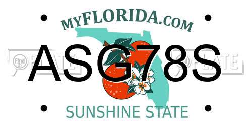 ASG78S Florida License Plate