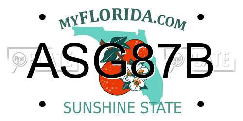 ASG87B Florida License Plate