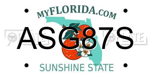 ASG87S Florida License Plate