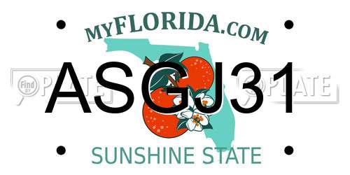 ASGJ31 Florida License Plate