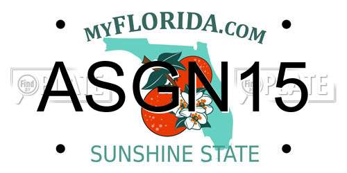 ASGN15 Florida License Plate