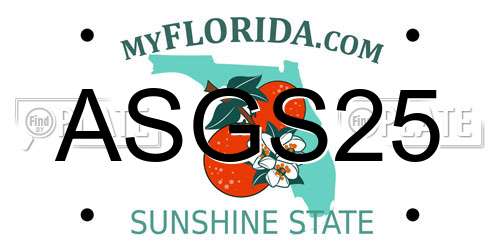 ASGS25 Florida License Plate