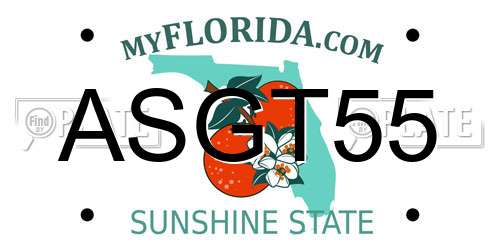ASGT55 Florida License Plate
