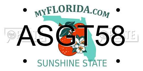 ASGT58 Florida License Plate