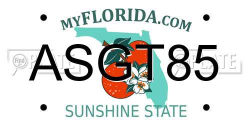 ASGT85 Florida License Plate