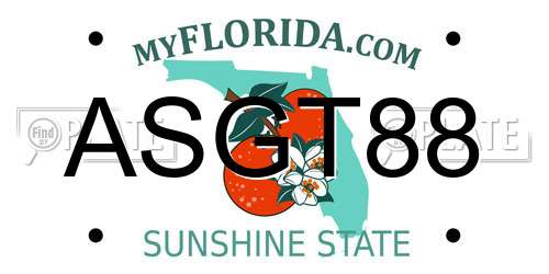 ASGT88 Florida License Plate